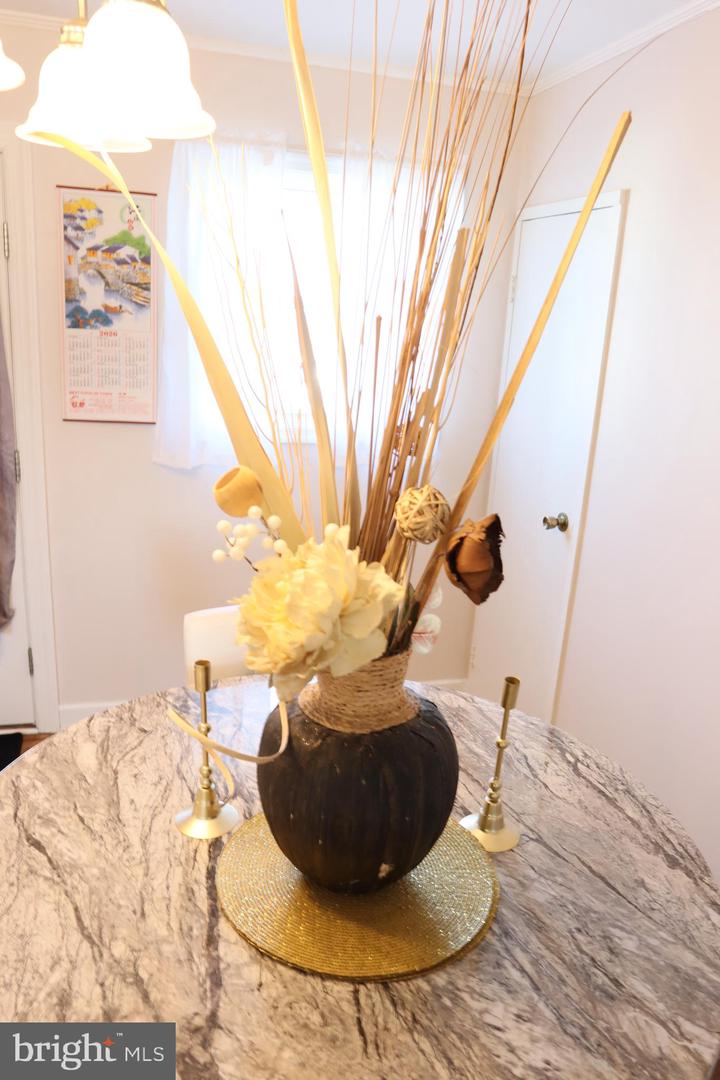 DEKT2043334-804432619226-2026-03-05-11-11-01 48 John Collins Cir | Dover, DE Real Estate For Sale | MLS# Dekt2043334  - Jack Lingo REALTOR