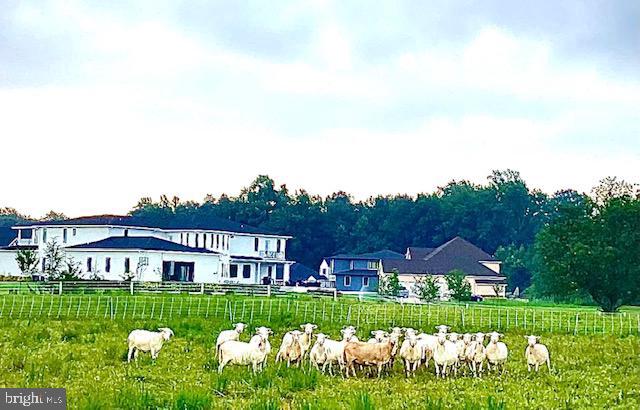 DEKT2043924-804571877326-2026-02-26-10-01-43 Lot Hazlettville Rd | Hartly, DE Real Estate For Sale | MLS# Dekt2043924  - Jack Lingo REALTOR