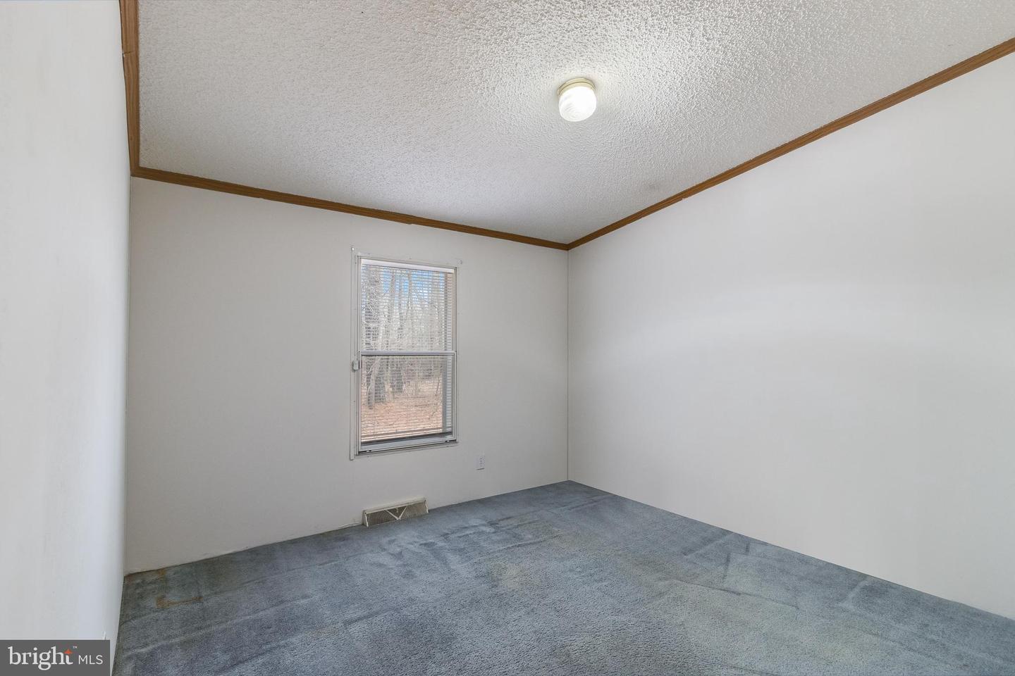 DEKT2044072-804549767402-2026-02-19-12-51-24 2578 Williamsville Rd | Houston, DE Real Estate For Sale | MLS# Dekt2044072  - Jack Lingo REALTOR