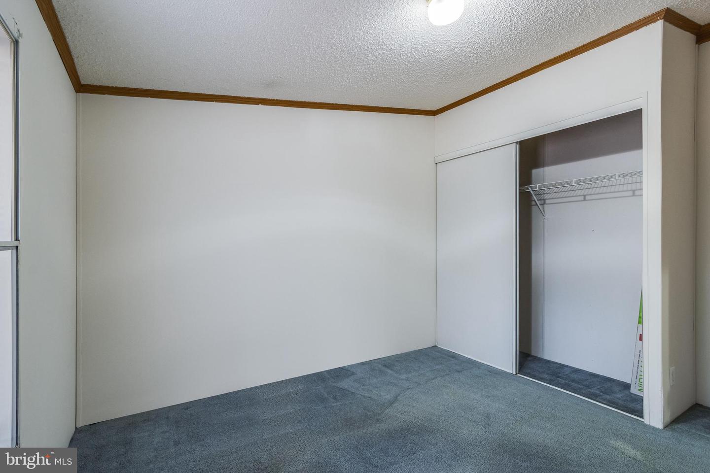 DEKT2044072-804549767514-2026-02-19-12-51-23 2578 Williamsville Rd | Houston, DE Real Estate For Sale | MLS# Dekt2044072  - Jack Lingo REALTOR