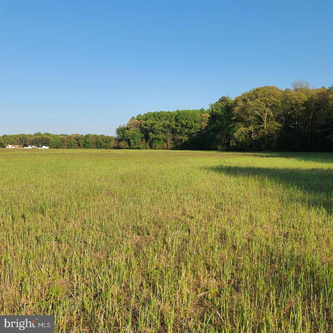 DEKT2044090-804487089918-2026-01-29-20-39-17 Lot 1 Anderson Rd Anderson Rd | Magnolia, DE Real Estate For Sale | MLS# Dekt2044090  - Jack Lingo REALTOR