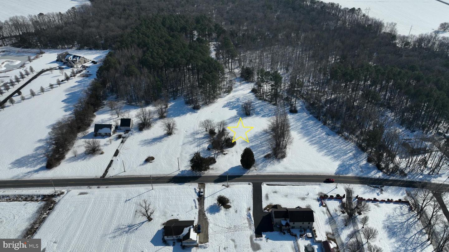 LOT 2 WILLIAMSVILLE RD, HOUSTON, DE - Jack Lingo Realtor LOT 2 WILLIAMSVILLE RD, HOUSTON, DE - Jack Lingo Realtor