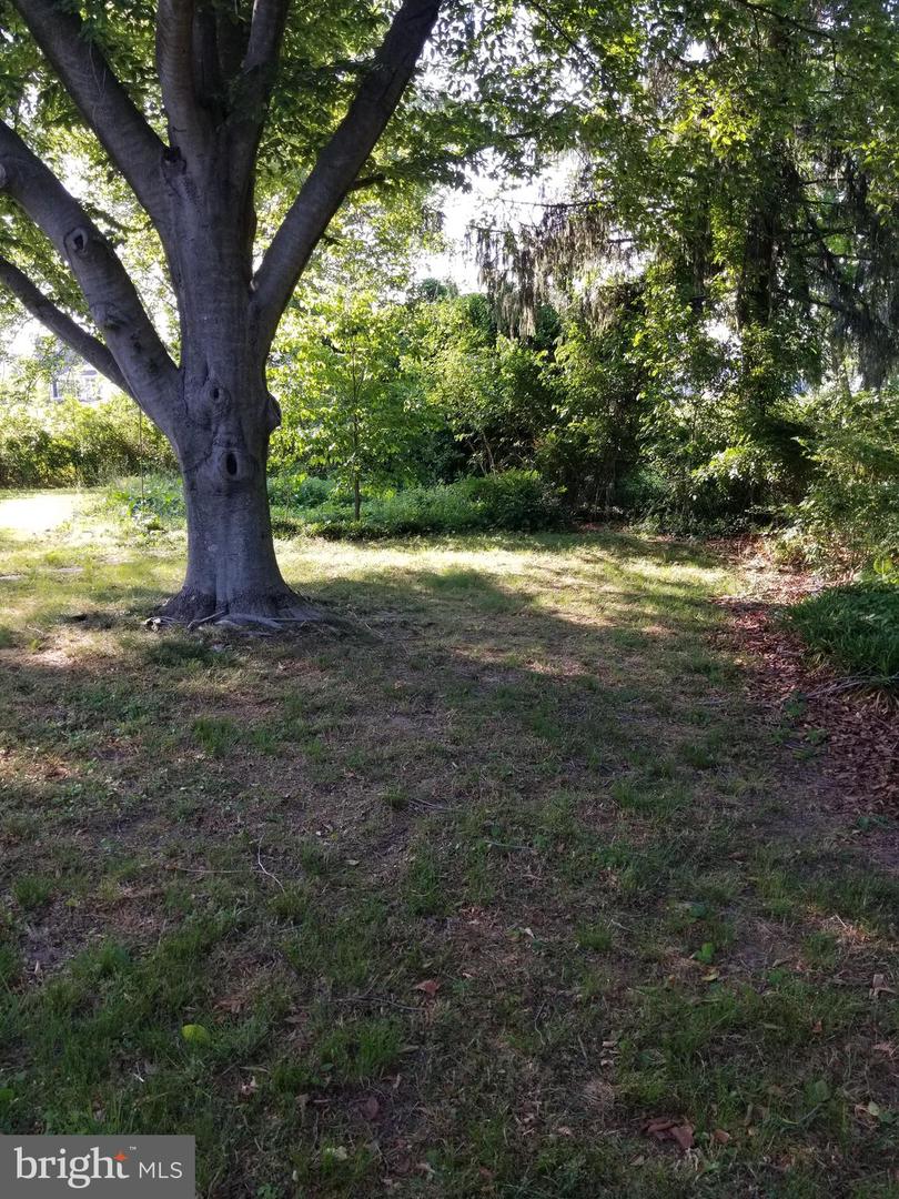 DEKT2044794-804575509416-2026-02-27-13-59-22 87 Moores Ln | Smyrna, DE Real Estate For Sale | MLS# Dekt2044794 - Jack Lingo REALTOR DEKT2044794-804575509416-2026-02-27-13-59-22 87 Moores Ln | Smyrna, DE Real Estate For Sale | MLS# Dekt2044794 - Jack Lingo REALTOR