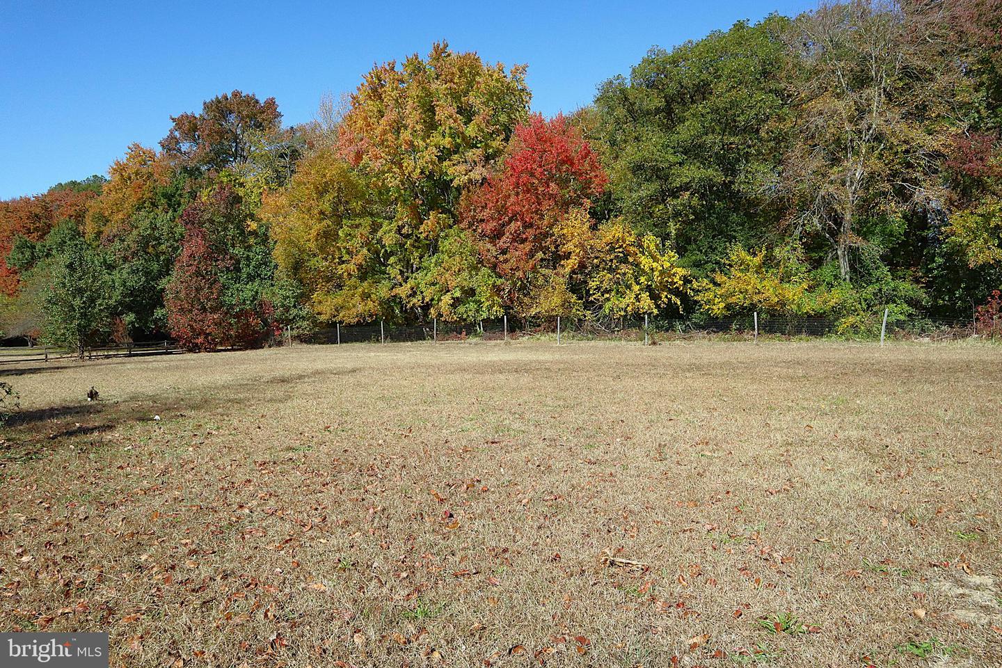 DEKT2044936-804598011584-2026-03-04-22-29-32 1127 Roesville Rd | Felton, DE Real Estate For Sale | MLS# Dekt2044936  - Jack Lingo REALTOR