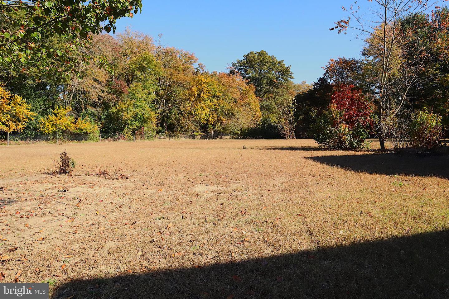 DEKT2044936-804598011588-2026-03-04-22-29-32 1127 Roesville Rd | Felton, DE Real Estate For Sale | MLS# Dekt2044936  - Jack Lingo REALTOR