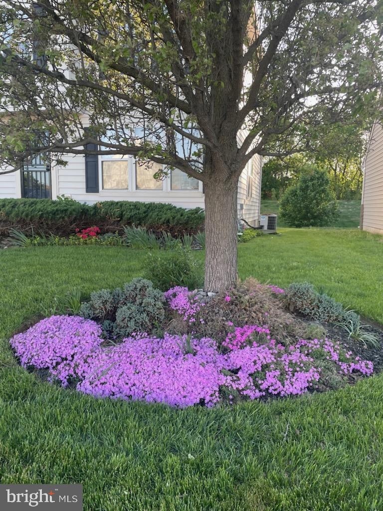 DEKT2044984-804628156944-2026-03-16-16-35-22 260 Golden Plover Dr | Smyrna, DE Real Estate For Sale | MLS# Dekt2044984 - Jack Lingo REALTOR DEKT2044984-804628156944-2026-03-16-16-35-22 260 Golden Plover Dr | Smyrna, DE Real Estate For Sale | MLS# Dekt2044984 - Jack Lingo REALTOR