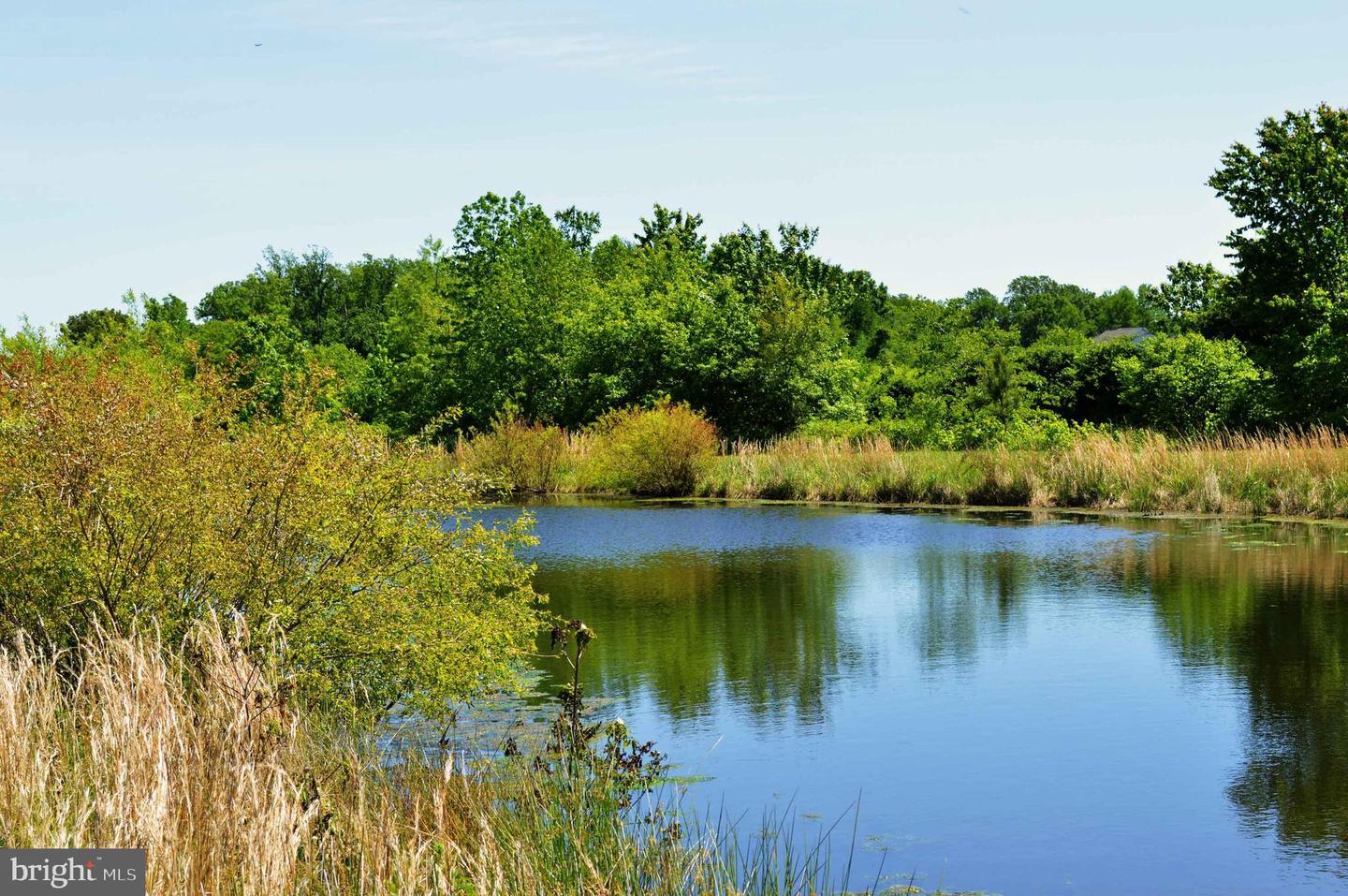 DEKT2045046-804614062200-2026-03-09-14-43-03 208 Farleigh Dr | Smyrna, DE Real Estate For Sale | MLS# Dekt2045046  - Jack Lingo REALTOR