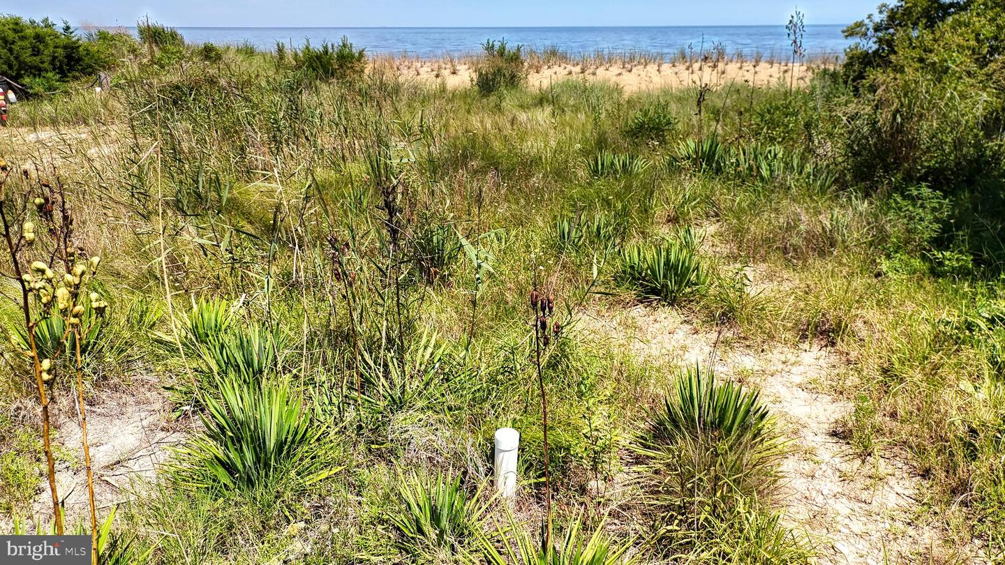 DEKT2045150-804626586350-2026-03-16-11-29-54 173 S Sandpiper Dr | Dover, DE Real Estate For Sale | MLS# Dekt2045150  - Jack Lingo REALTOR