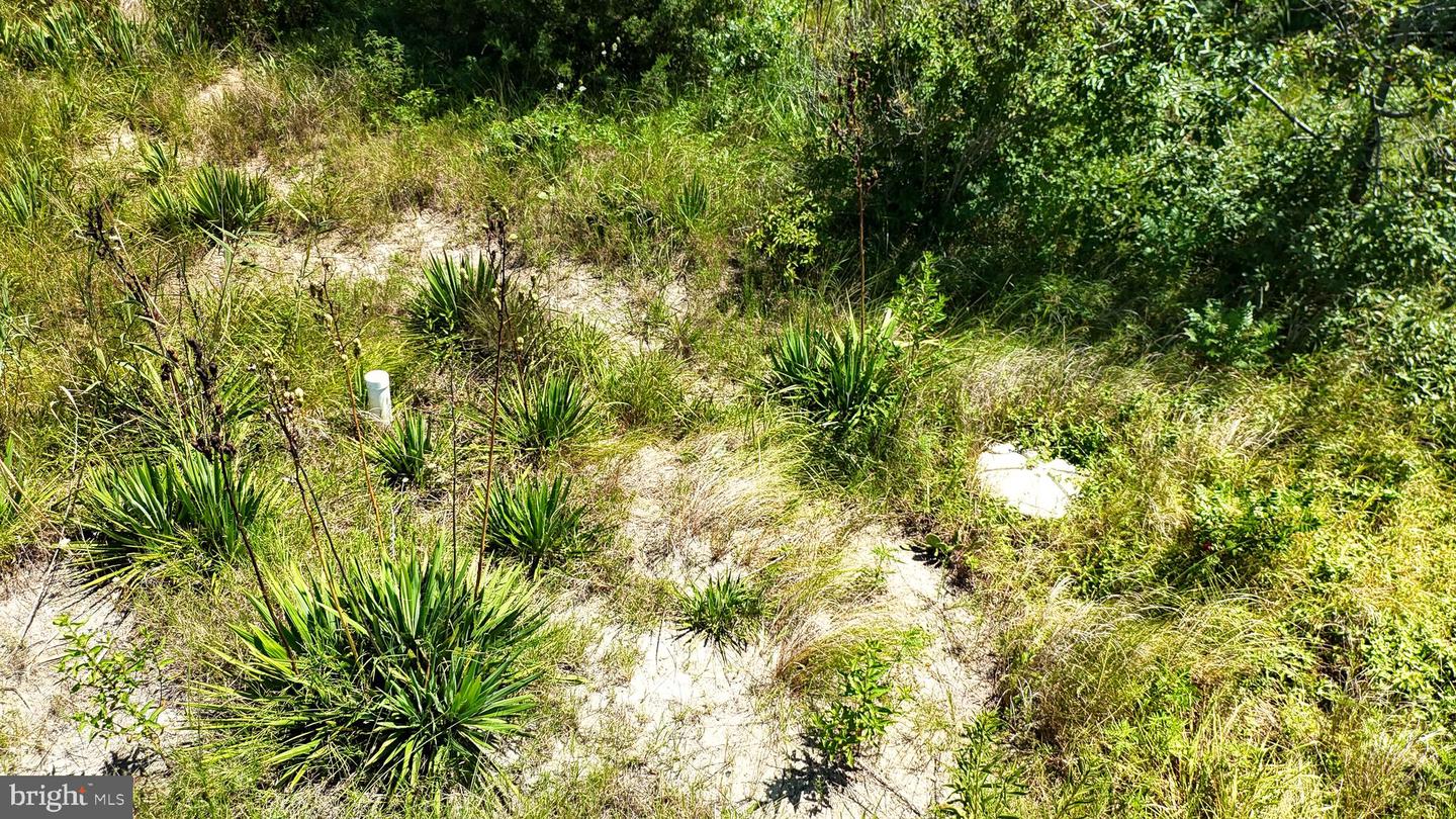 DEKT2045150-804626586360-2026-03-16-11-29-55 173 S Sandpiper Dr | Dover, DE Real Estate For Sale | MLS# Dekt2045150  - Jack Lingo REALTOR