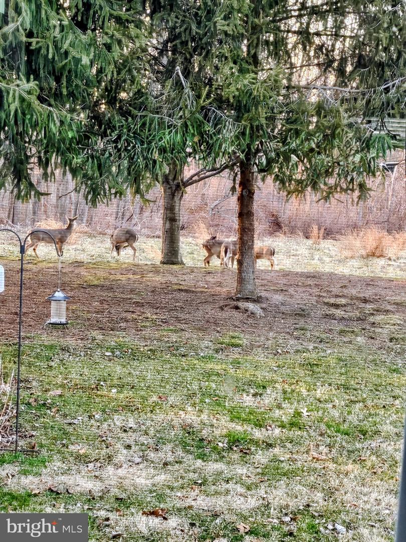 DEKT2045186-804638968926-2026-03-24-08-03-20 104 Hoffeckers Mill Dr | Smyrna, DE Real Estate For Sale | MLS# Dekt2045186 - Jack Lingo REALTOR DEKT2045186-804638968926-2026-03-24-08-03-20 104 Hoffeckers Mill Dr | Smyrna, DE Real Estate For Sale | MLS# Dekt2045186 - Jack Lingo REALTOR