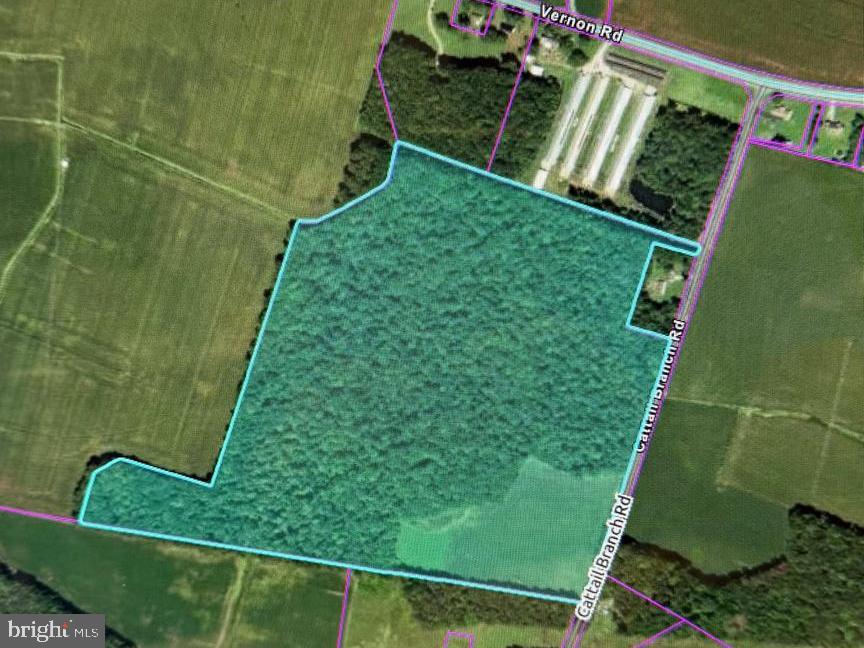 0-0-0 CATTAIL RD, HARRINGTON, DE - Jack Lingo Realtor