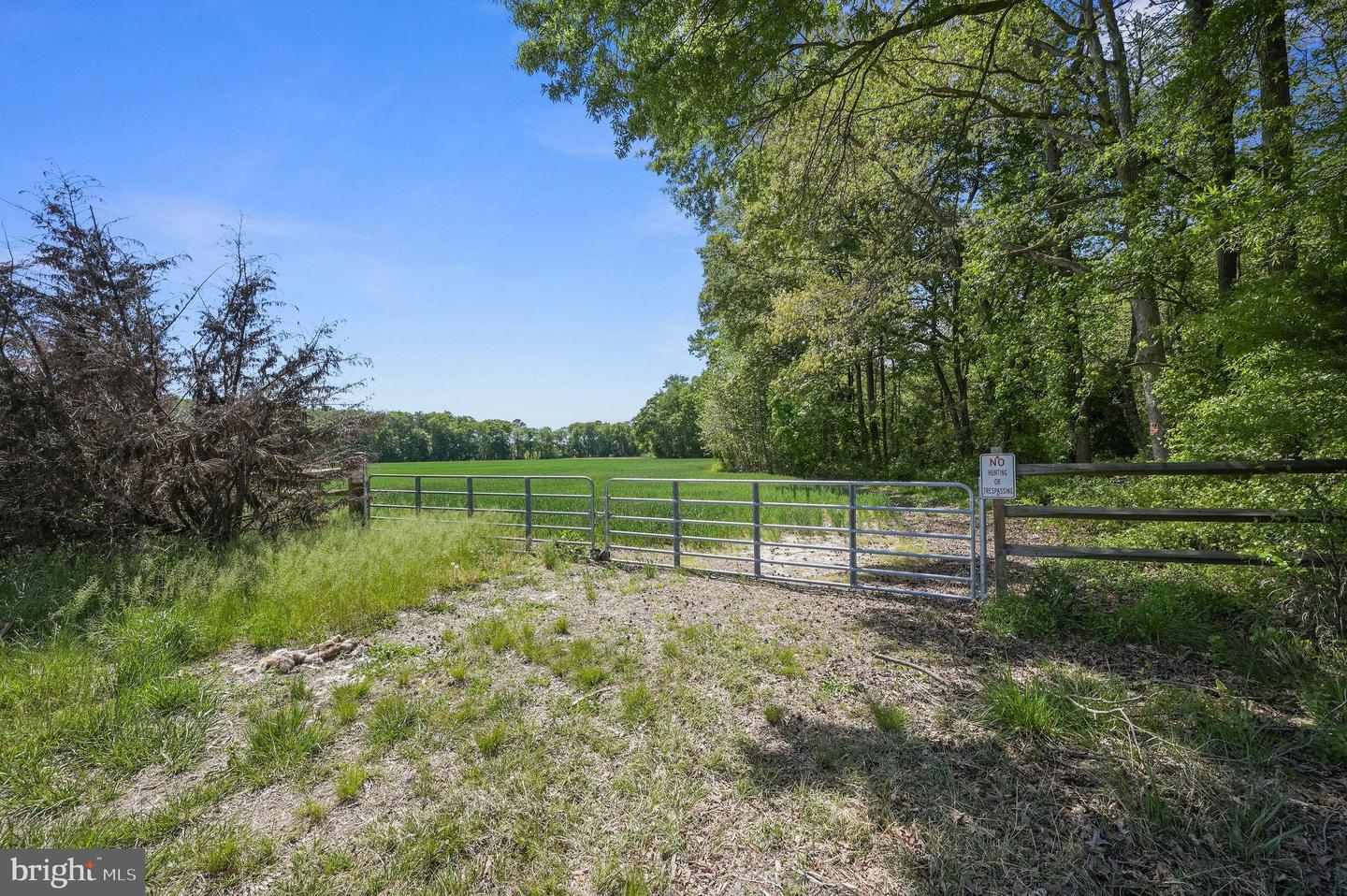 DEKT2046284-804868643752-2026-05-03-05-21-01 0-0-0 Cattail Rd | Harrington, DE Real Estate For Sale | MLS# Dekt2046284 - Jack Lingo REALTOR DEKT2046284-804868643752-2026-05-03-05-21-01 0-0-0 Cattail Rd | Harrington, DE Real Estate For Sale | MLS# Dekt2046284 - Jack Lingo REALTOR