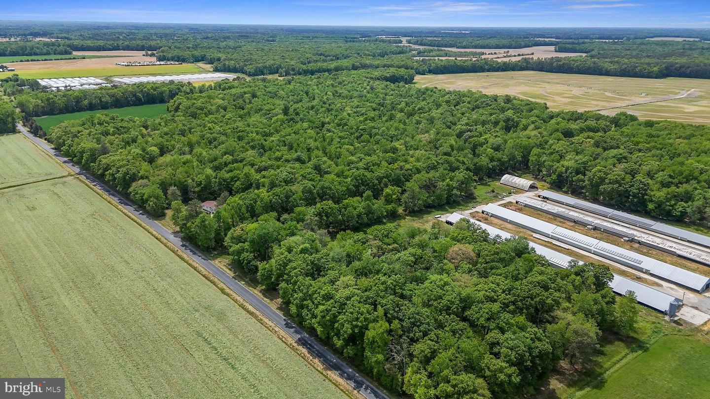 DEKT2046284-804868643760-2026-05-03-05-21-01 0-0-0 Cattail Rd | Harrington, DE Real Estate For Sale | MLS# Dekt2046284 - Jack Lingo REALTOR DEKT2046284-804868643760-2026-05-03-05-21-01 0-0-0 Cattail Rd | Harrington, DE Real Estate For Sale | MLS# Dekt2046284 - Jack Lingo REALTOR