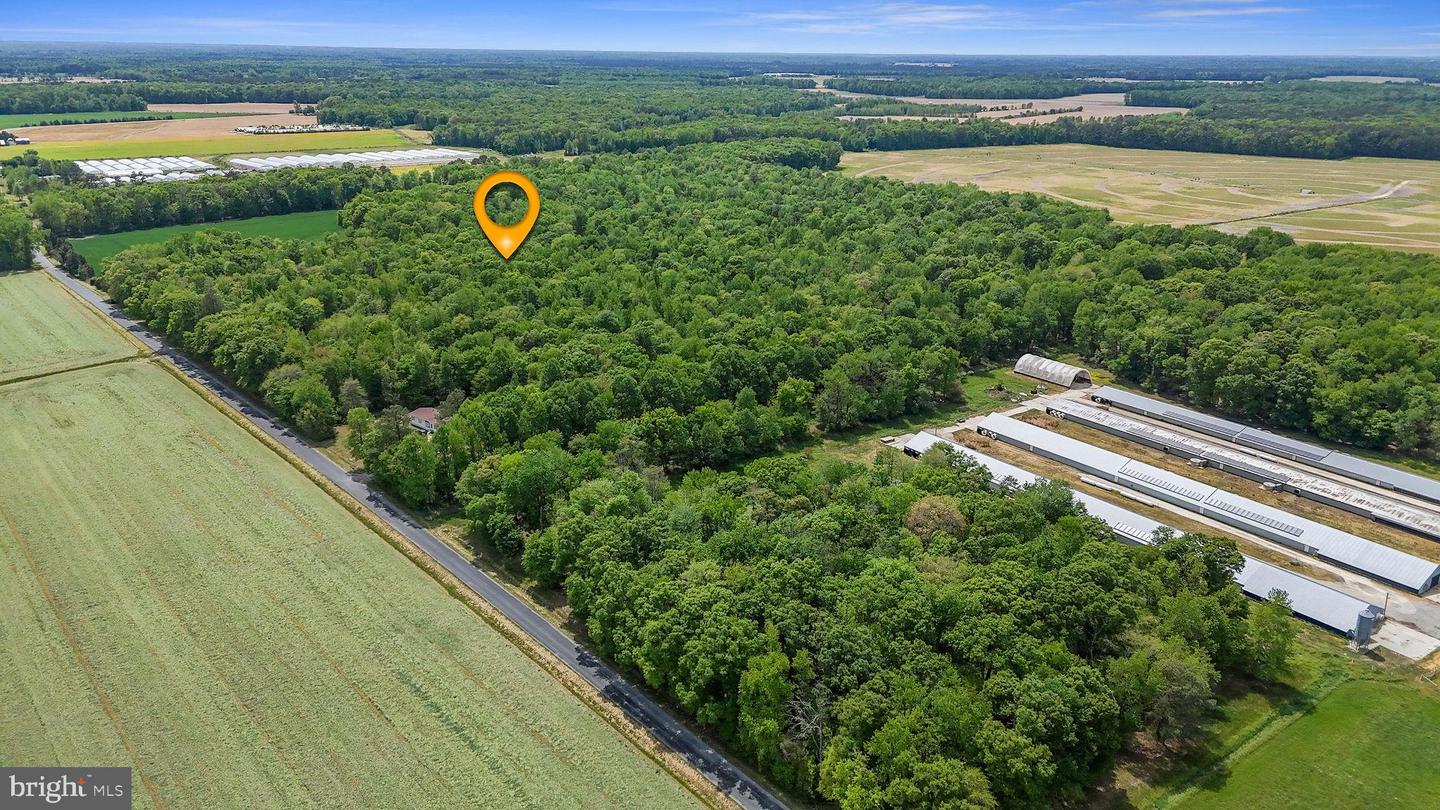DEKT2046284-804868643776-2026-05-03-05-21-01 0-0-0 Cattail Rd | Harrington, DE Real Estate For Sale | MLS# Dekt2046284 - Jack Lingo REALTOR DEKT2046284-804868643776-2026-05-03-05-21-01 0-0-0 Cattail Rd | Harrington, DE Real Estate For Sale | MLS# Dekt2046284 - Jack Lingo REALTOR