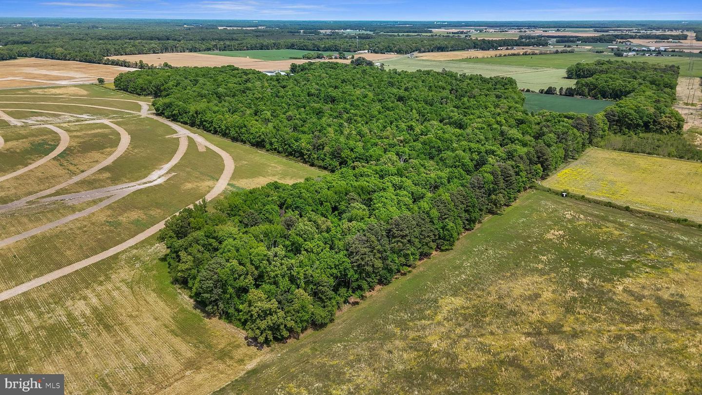 DEKT2046284-804868643816-2026-05-03-05-21-01 0-0-0 Cattail Rd | Harrington, DE Real Estate For Sale | MLS# Dekt2046284 - Jack Lingo REALTOR DEKT2046284-804868643816-2026-05-03-05-21-01 0-0-0 Cattail Rd | Harrington, DE Real Estate For Sale | MLS# Dekt2046284 - Jack Lingo REALTOR