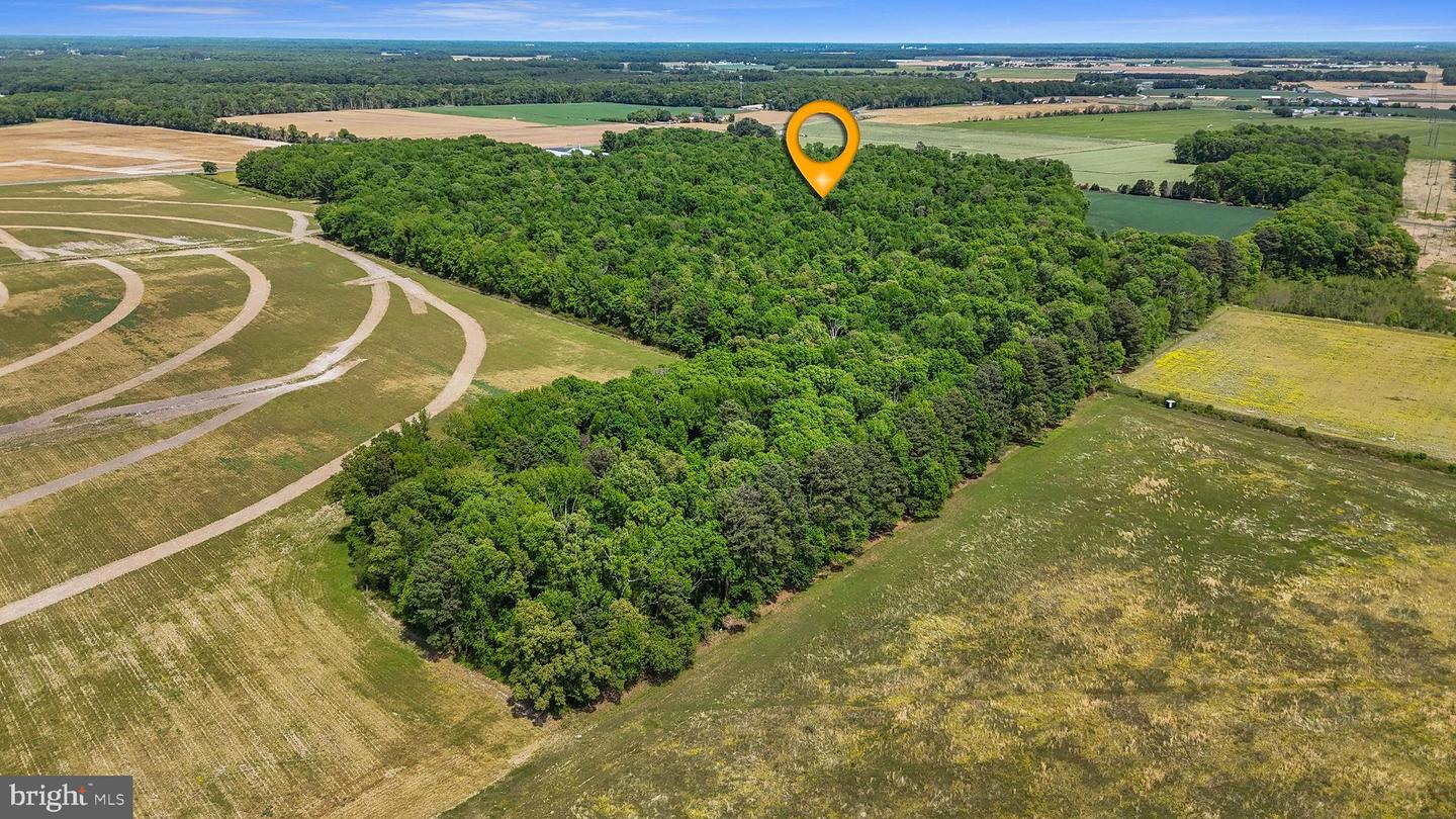 DEKT2046284-804868643824-2026-05-03-05-21-01 0-0-0 Cattail Rd | Harrington, DE Real Estate For Sale | MLS# Dekt2046284 - Jack Lingo REALTOR DEKT2046284-804868643824-2026-05-03-05-21-01 0-0-0 Cattail Rd | Harrington, DE Real Estate For Sale | MLS# Dekt2046284 - Jack Lingo REALTOR