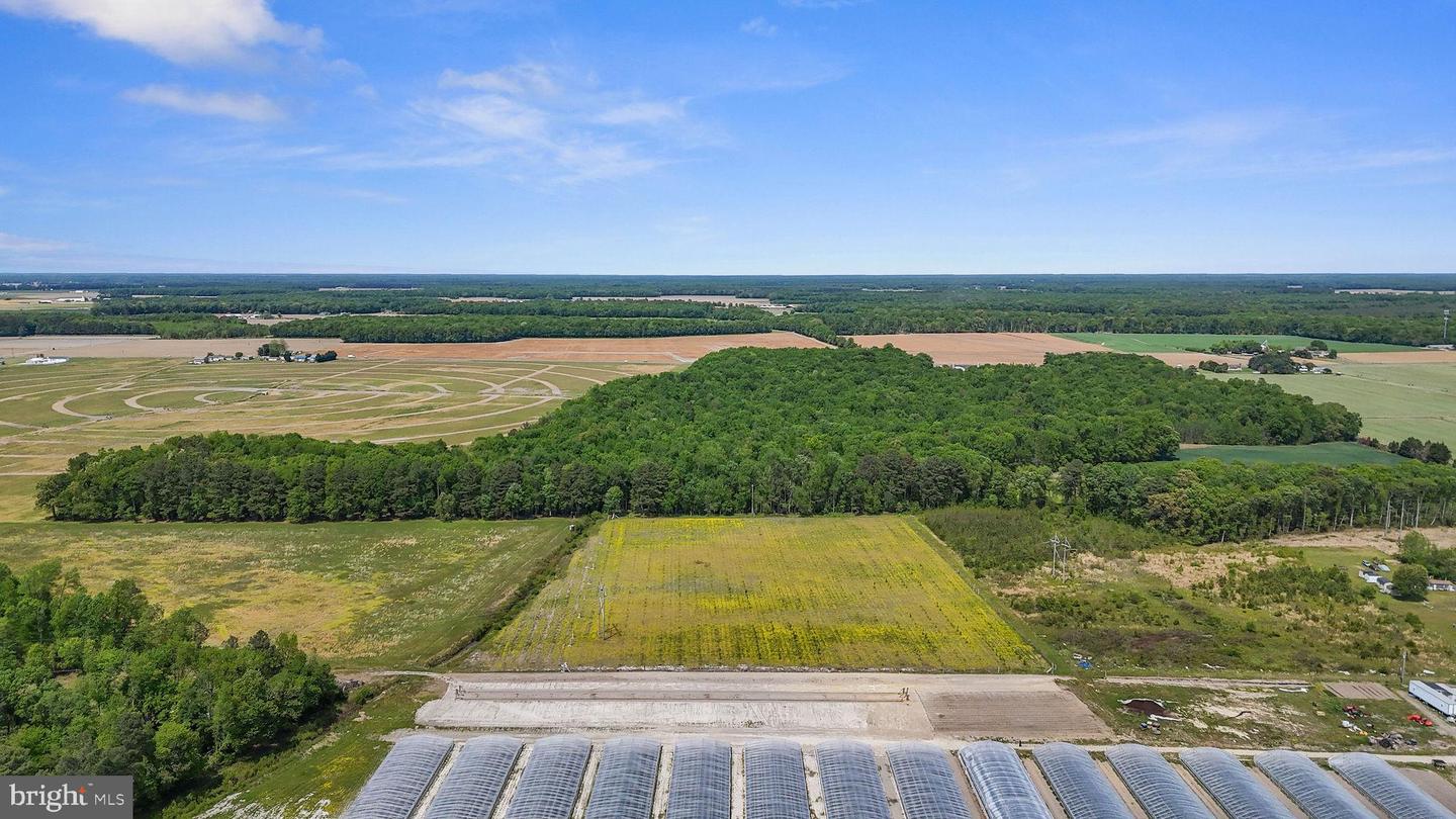 DEKT2046284-804868643848-2026-05-03-05-21-01 0-0-0 Cattail Rd | Harrington, DE Real Estate For Sale | MLS# Dekt2046284 - Jack Lingo REALTOR DEKT2046284-804868643848-2026-05-03-05-21-01 0-0-0 Cattail Rd | Harrington, DE Real Estate For Sale | MLS# Dekt2046284 - Jack Lingo REALTOR