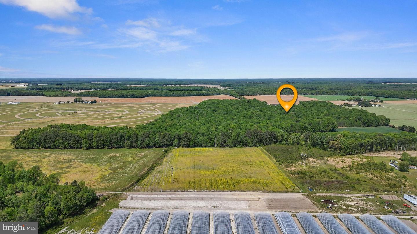 DEKT2046284-804868643856-2026-05-03-05-21-01 0-0-0 Cattail Rd | Harrington, DE Real Estate For Sale | MLS# Dekt2046284 - Jack Lingo REALTOR DEKT2046284-804868643856-2026-05-03-05-21-01 0-0-0 Cattail Rd | Harrington, DE Real Estate For Sale | MLS# Dekt2046284 - Jack Lingo REALTOR