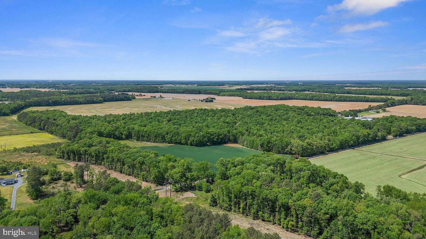 DEKT2046284-804868643864-2026-05-03-05-21-01 0-0-0 Cattail Rd | Harrington, DE Real Estate For Sale | MLS# Dekt2046284 - Jack Lingo REALTOR DEKT2046284-804868643864-2026-05-03-05-21-01 0-0-0 Cattail Rd | Harrington, DE Real Estate For Sale | MLS# Dekt2046284 - Jack Lingo REALTOR