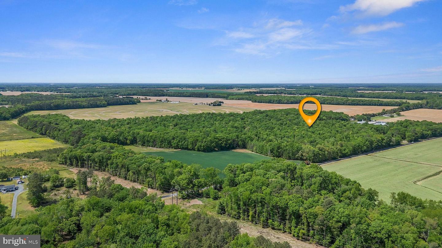 DEKT2046284-804868643872-2026-05-03-05-21-01 0-0-0 Cattail Rd | Harrington, DE Real Estate For Sale | MLS# Dekt2046284 - Jack Lingo REALTOR DEKT2046284-804868643872-2026-05-03-05-21-01 0-0-0 Cattail Rd | Harrington, DE Real Estate For Sale | MLS# Dekt2046284 - Jack Lingo REALTOR