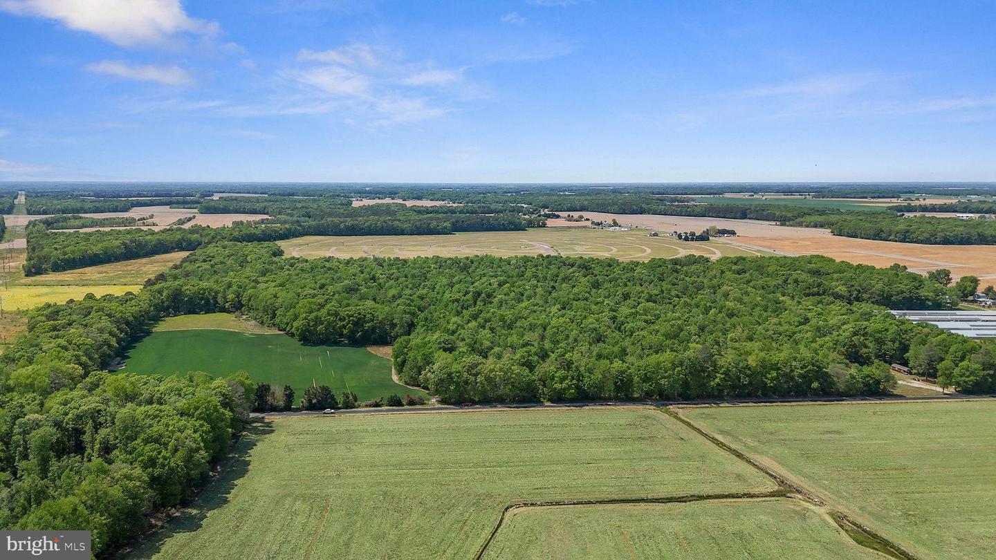 DEKT2046284-804868643880-2026-05-03-05-21-02 0-0-0 Cattail Rd | Harrington, DE Real Estate For Sale | MLS# Dekt2046284 - Jack Lingo REALTOR DEKT2046284-804868643880-2026-05-03-05-21-02 0-0-0 Cattail Rd | Harrington, DE Real Estate For Sale | MLS# Dekt2046284 - Jack Lingo REALTOR