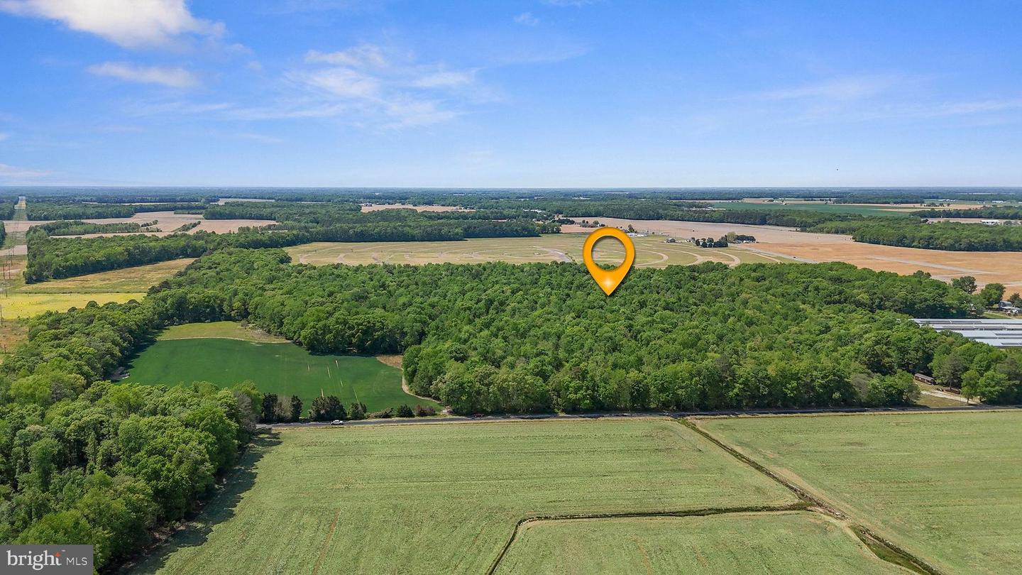 DEKT2046284-804868643888-2026-05-03-05-21-01 0-0-0 Cattail Rd | Harrington, DE Real Estate For Sale | MLS# Dekt2046284 - Jack Lingo REALTOR DEKT2046284-804868643888-2026-05-03-05-21-01 0-0-0 Cattail Rd | Harrington, DE Real Estate For Sale | MLS# Dekt2046284 - Jack Lingo REALTOR