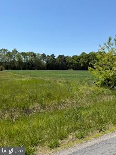 DEKT2046872-804886452090-2026-05-12-13-55-05 Lot #15 Tower Rd | Camden Wyoming, DE Real Estate For Sale | MLS# Dekt2046872  - Jack Lingo REALTOR
