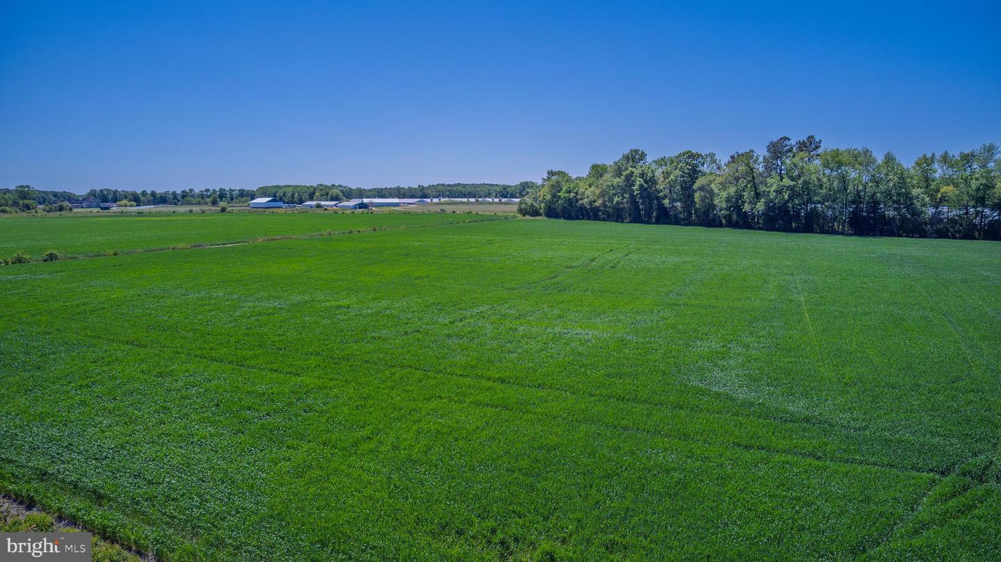 DEKT2046872-804913052884-2026-05-12-13-55-04 Lot #15 Tower Rd | Camden Wyoming, DE Real Estate For Sale | MLS# Dekt2046872  - Jack Lingo REALTOR