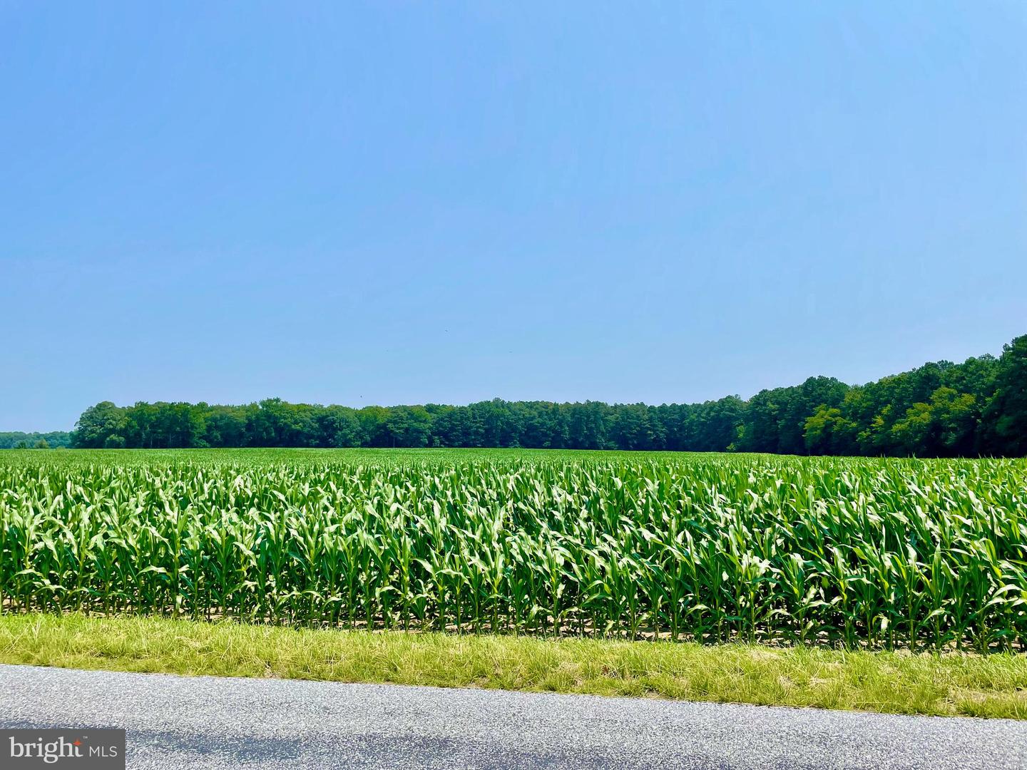 DESU2006554-801047883620-2025-06-16-15-58-05 Lonesome Road | Seaford, DE Real Estate For Sale | MLS# Desu2006554  - Jack Lingo REALTOR