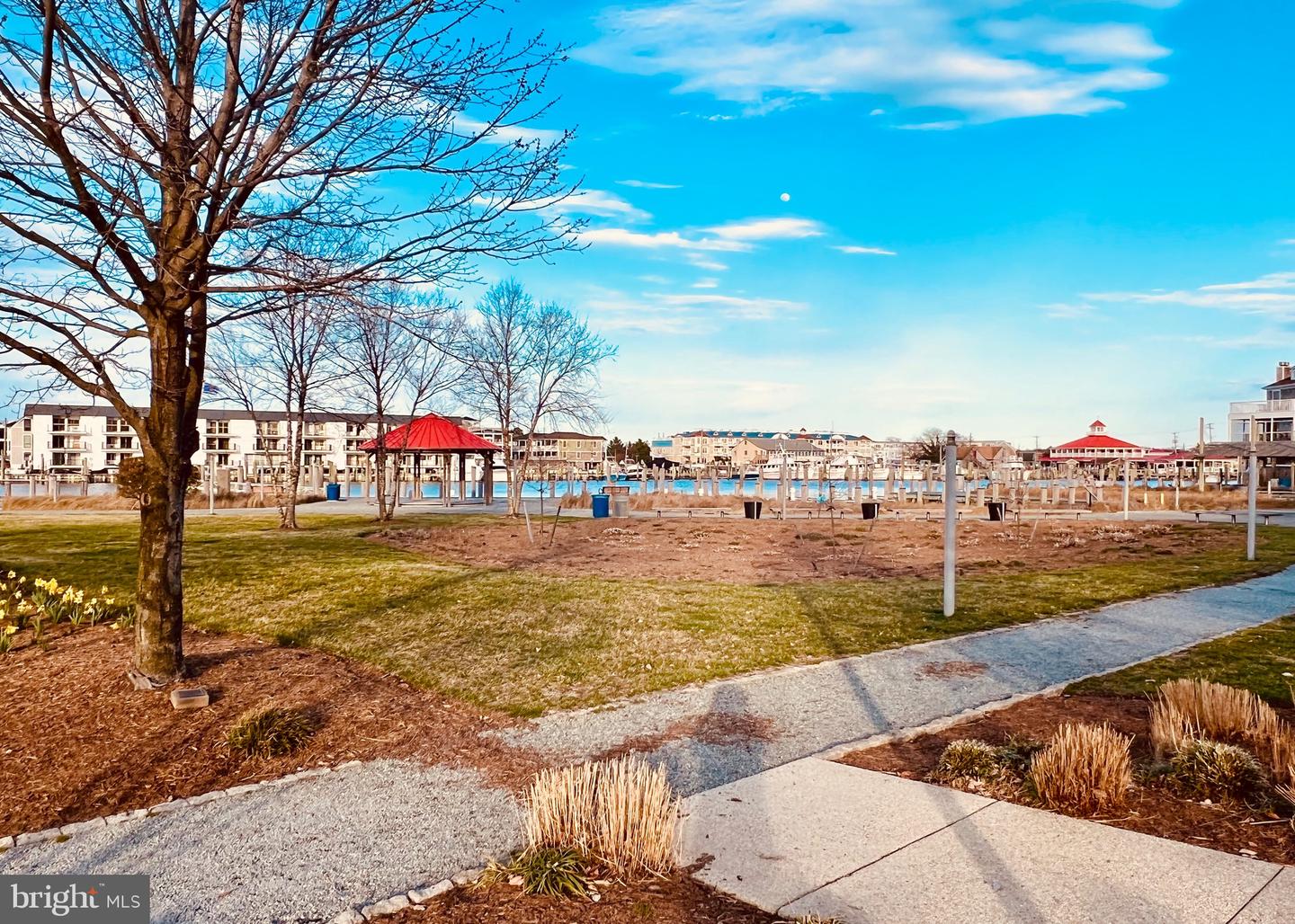 DESU2018202-801404775456-2025-03-22-10-04-05 Lot 79 New Road | Lewes, DE Real Estate For Sale | MLS# Desu2018202  - Jack Lingo REALTOR