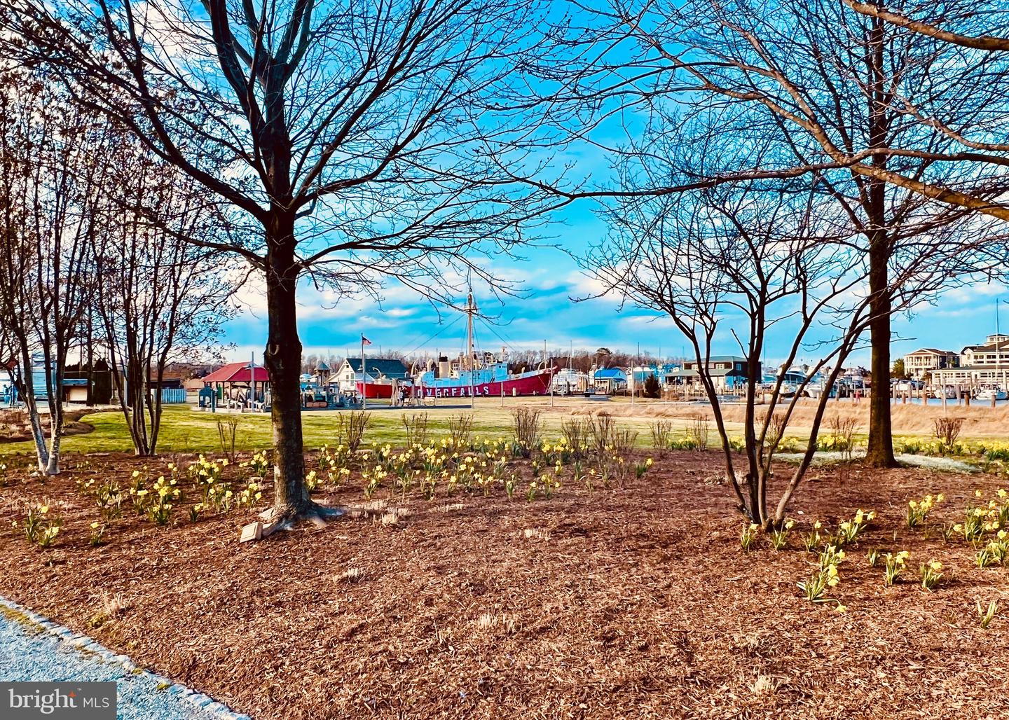 DESU2018202-801404775500-2025-03-22-10-04-04 Lot 79 New Road | Lewes, DE Real Estate For Sale | MLS# Desu2018202  - Jack Lingo REALTOR