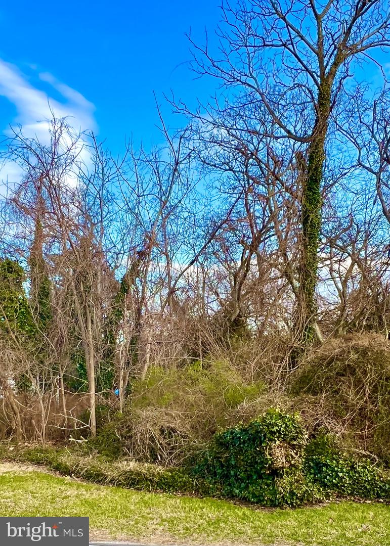 DESU2018202-801406406676-2025-03-22-10-04-04 Lot 79 New Road | Lewes, DE Real Estate For Sale | MLS# Desu2018202  - Jack Lingo REALTOR