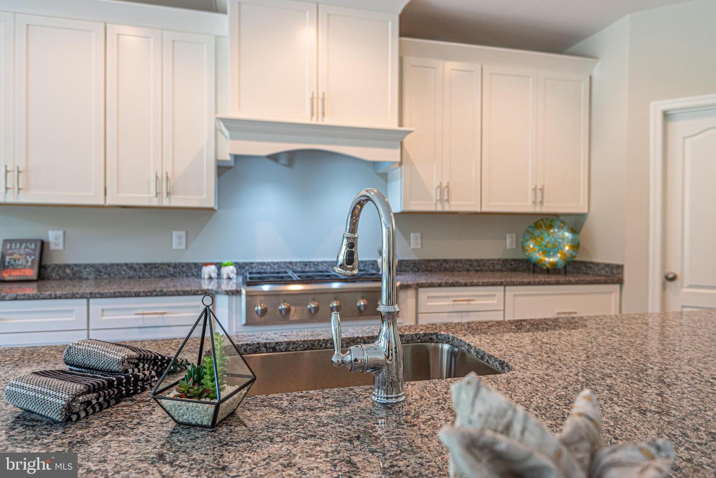 DESU2026038-802043117914-2025-08-11-15-55-29 007 Antlered Way | Georgetown, DE Real Estate For Sale | MLS# Desu2026038  - Jack Lingo REALTOR