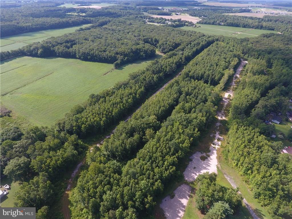 DESU2026550-801781652914-2025-07-30-21-10-45 54 Lots Hampden Park | Selbyville, DE Real Estate For Sale | MLS# Desu2026550 - Jack Lingo REALTOR DESU2026550-801781652914-2025-07-30-21-10-45 54 Lots Hampden Park | Selbyville, DE Real Estate For Sale | MLS# Desu2026550 - Jack Lingo REALTOR