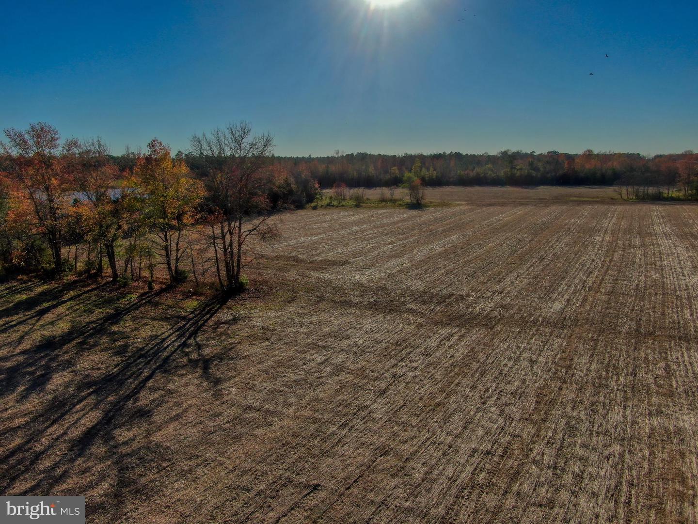 DESU2032576-802019637416-2024-02-22-06-29-47 22967 Lewes Georgetown Hwy | Georgetown, DE Real Estate For Sale | MLS# Desu2032576  - Jack Lingo REALTOR