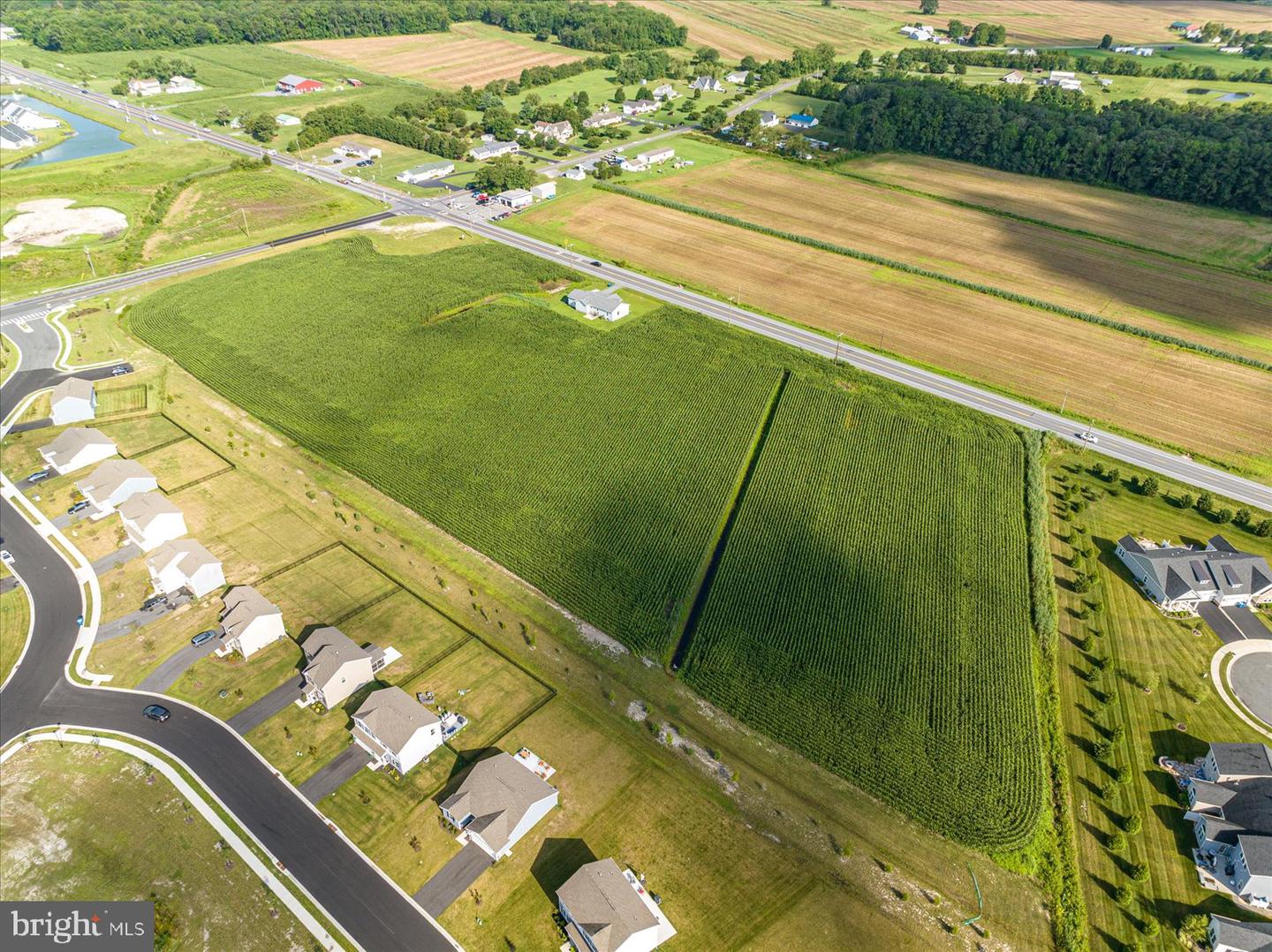 DESU2044978-802506820982-2025-08-22-17-00-40 32474 Lighthouse Rd | Selbyville, DE Real Estate For Sale | MLS# Desu2044978  - Jack Lingo REALTOR DESU2044978-802506820982-2025-08-22-17-00-40 32474 Lighthouse Rd | Selbyville, DE Real Estate For Sale | MLS# Desu2044978  - Jack Lingo REALTOR