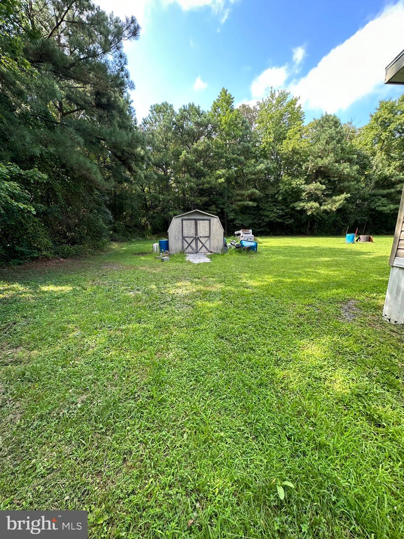 DESU2045804-802541892452-2025-04-29-11-12-13 32062 Molly Field Rd | Dagsboro, DE Real Estate For Sale | MLS# Desu2045804  - Jack Lingo REALTOR