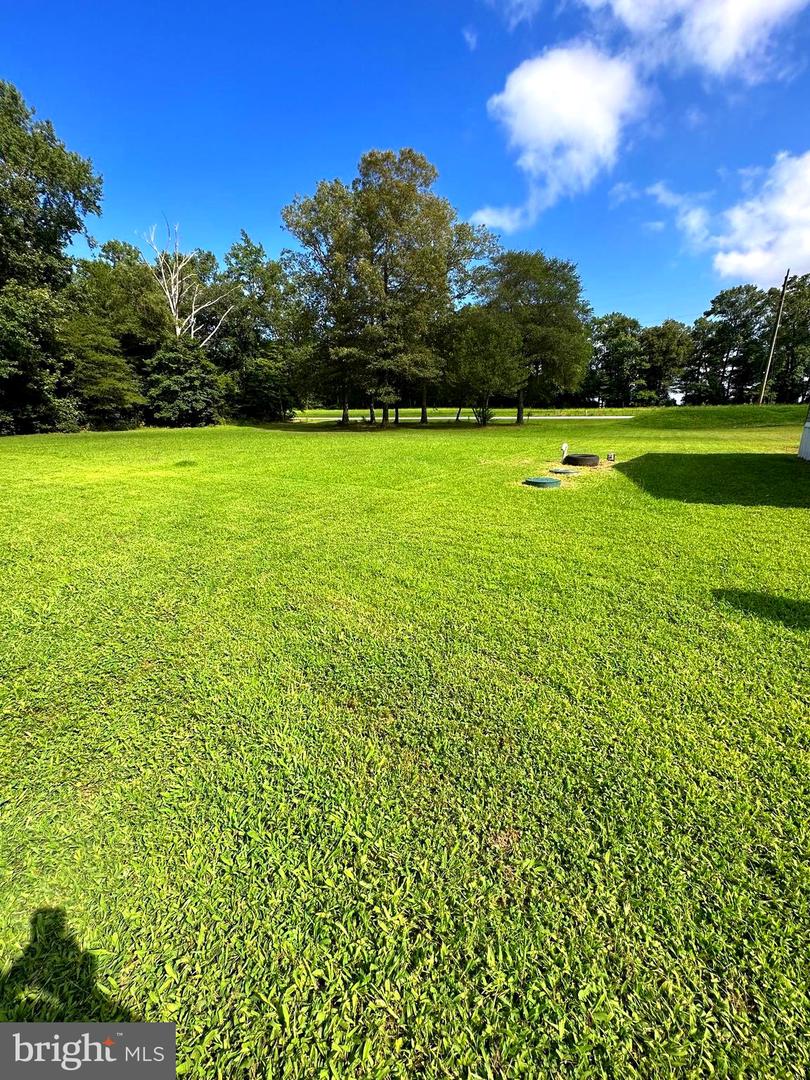 DESU2045804-802541892852-2025-04-29-11-12-13 32062 Molly Field Rd | Dagsboro, DE Real Estate For Sale | MLS# Desu2045804  - Jack Lingo REALTOR