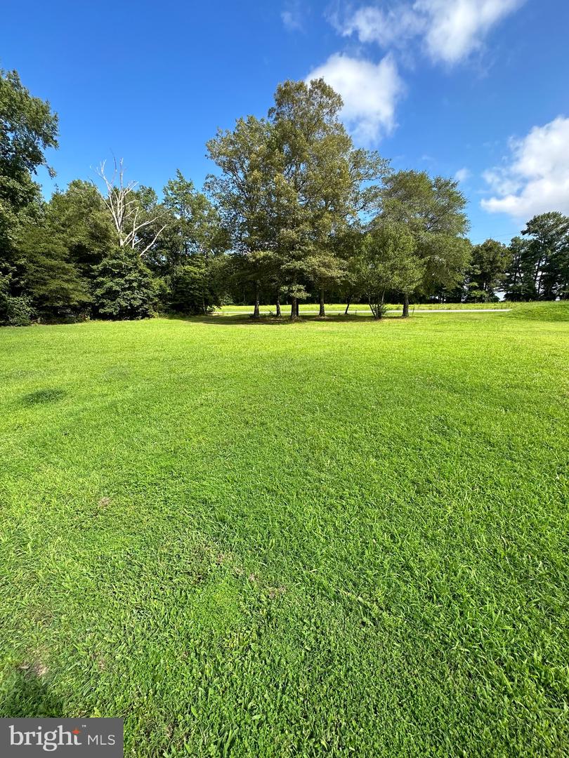 DESU2045804-802541892952-2025-04-29-11-12-13 32062 Molly Field Rd | Dagsboro, DE Real Estate For Sale | MLS# Desu2045804  - Jack Lingo REALTOR
