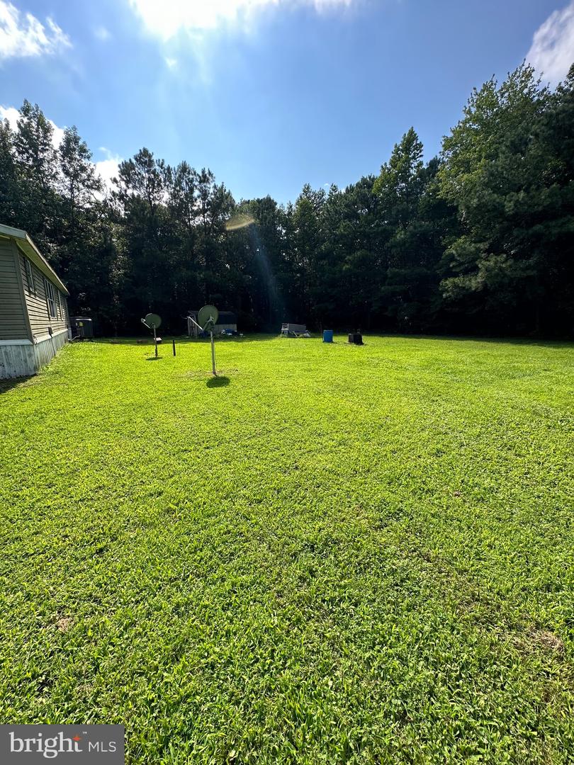 DESU2045804-802541892976-2025-04-29-11-12-13 32062 Molly Field Rd | Dagsboro, DE Real Estate For Sale | MLS# Desu2045804  - Jack Lingo REALTOR