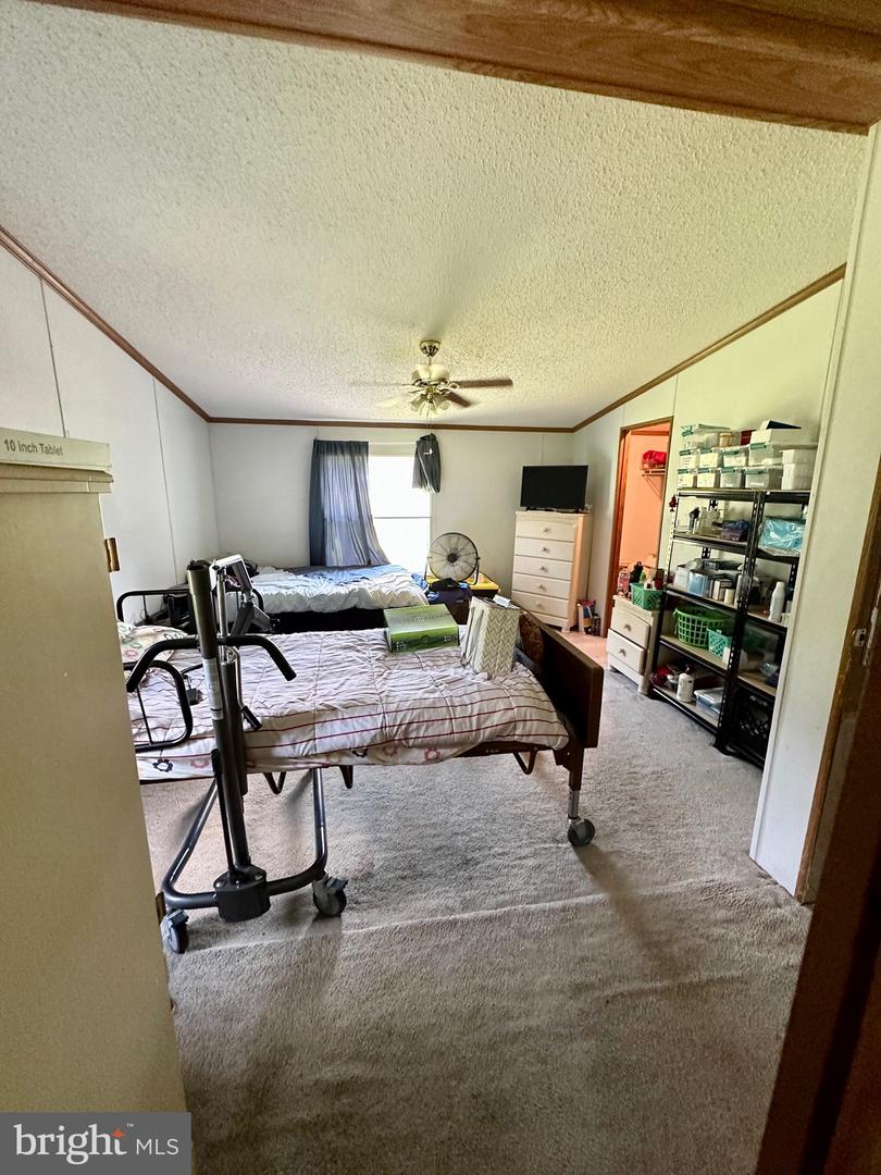 DESU2045804-802548191432-2025-04-29-11-12-12 32062 Molly Field Rd | Dagsboro, DE Real Estate For Sale | MLS# Desu2045804  - Jack Lingo REALTOR