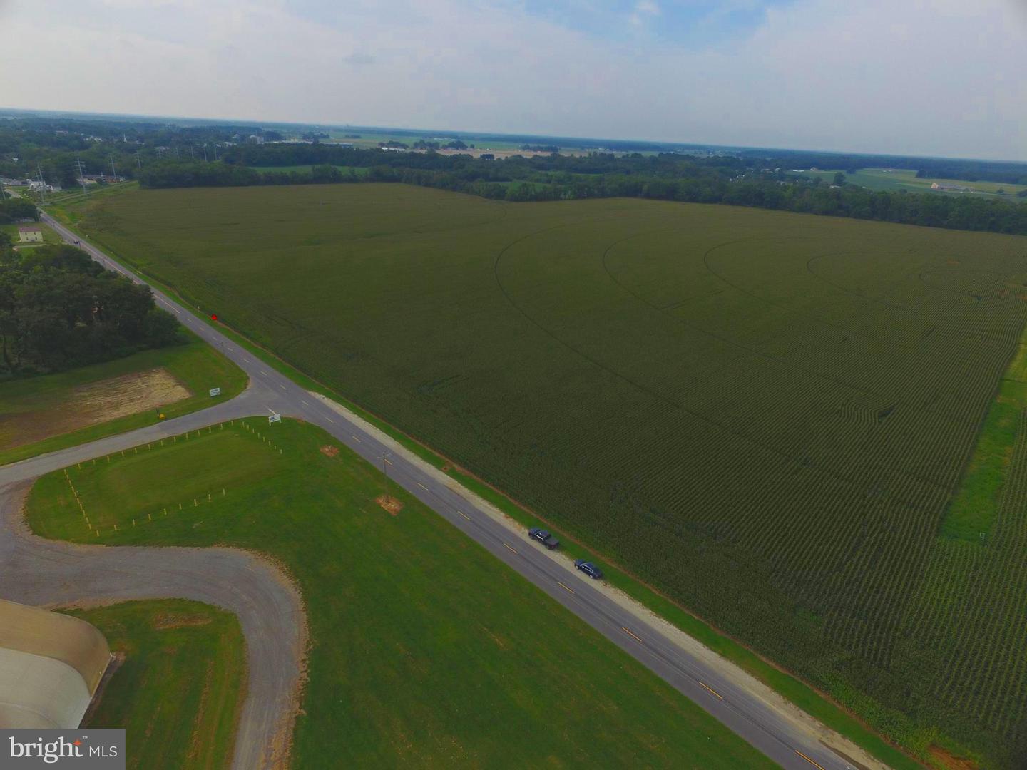 ADAMS ROAD, BRIDGEVILLE, DE - Jack Lingo Realtor