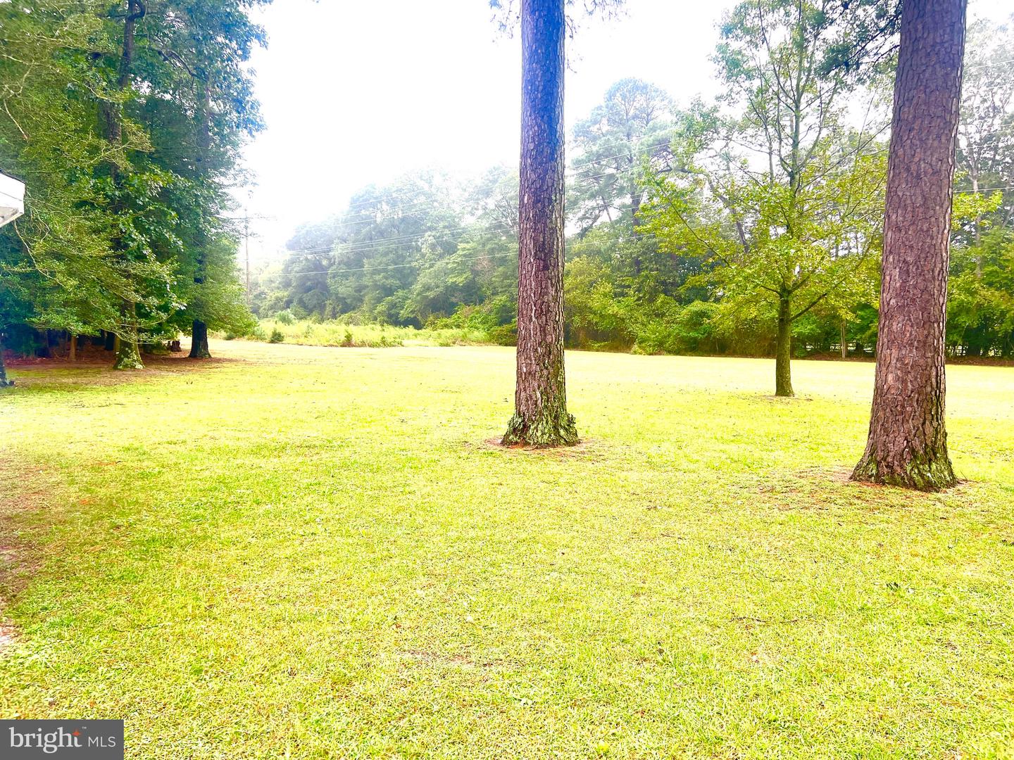 DESU2048710-802636315268-2025-02-28-16-40-28 26350 Mount Joy Rd | Millsboro, DE Real Estate For Sale | MLS# Desu2048710  - Jack Lingo REALTOR