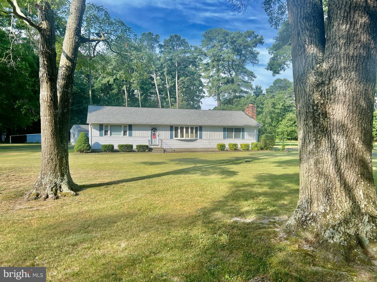 DESU2048710-803199763438-2025-02-28-16-40-28 26350 Mount Joy Rd | Millsboro, DE Real Estate For Sale | MLS# Desu2048710  - Jack Lingo REALTOR