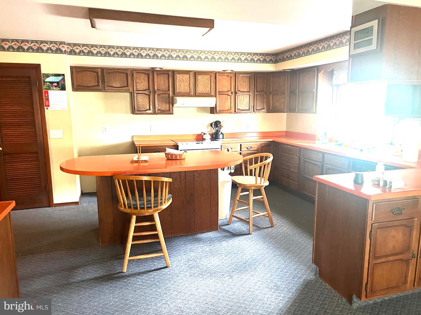 DESU2048710-803203435240-2025-02-28-16-40-28 26350 Mount Joy Rd | Millsboro, DE Real Estate For Sale | MLS# Desu2048710  - Jack Lingo REALTOR