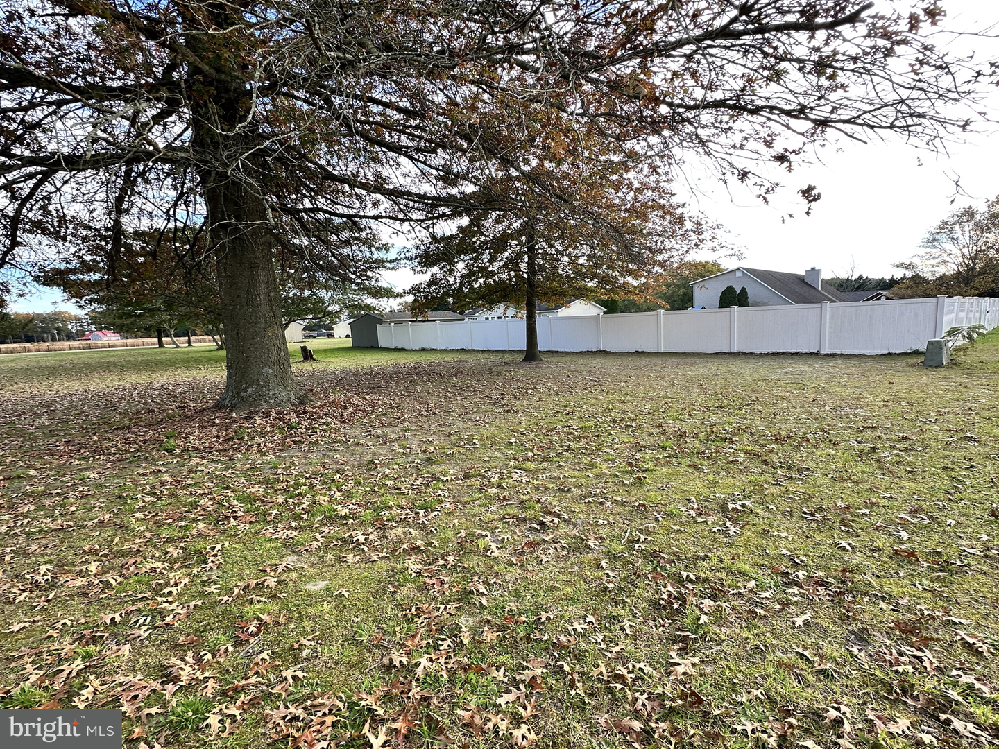 DESU2050676-802701778714-2024-10-02-10-33-13 Lot 1 Jersey Rd | Millsboro, DE Real Estate For Sale | MLS# Desu2050676  - Jack Lingo REALTOR