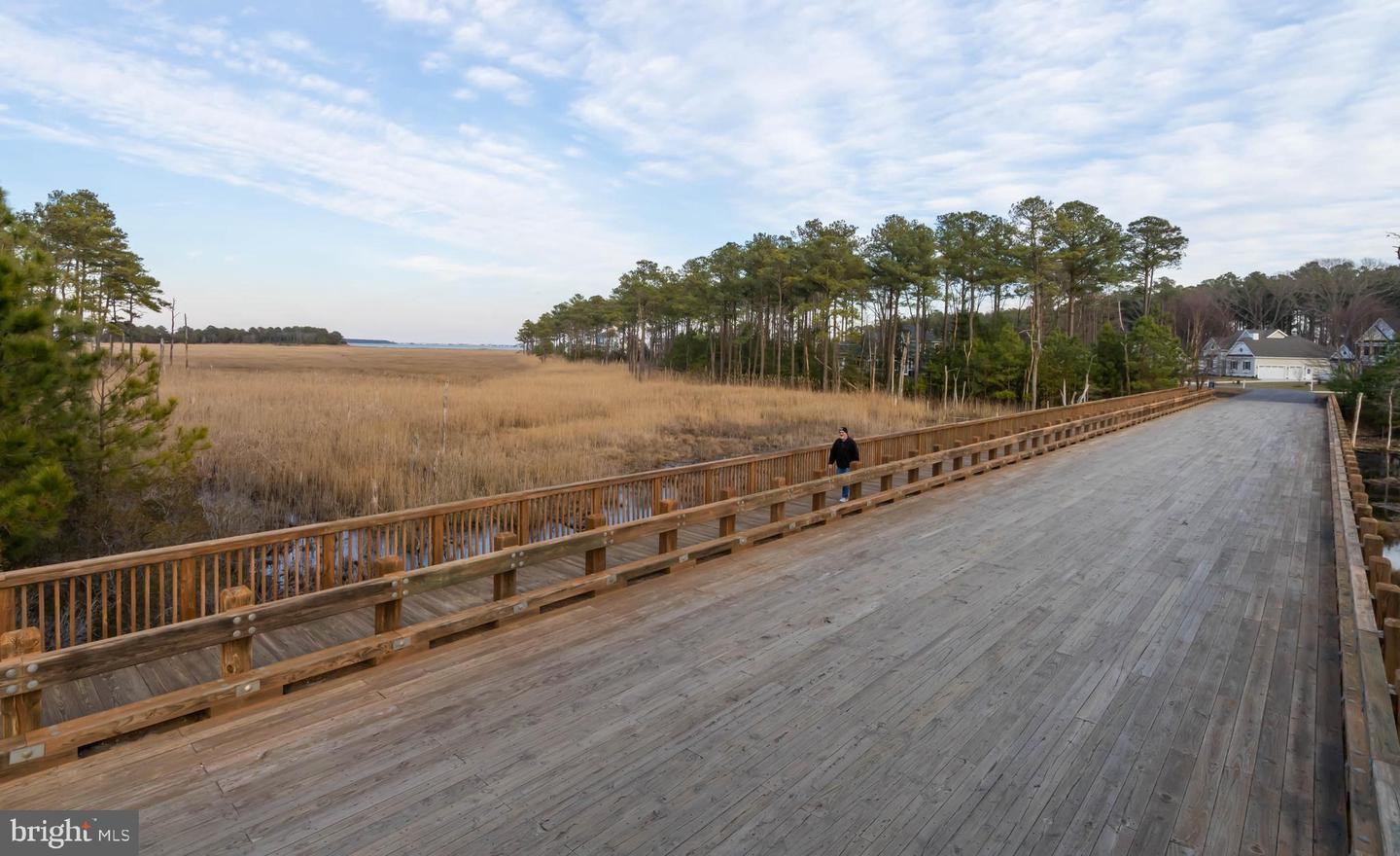 DESU2050894-802712297714-2025-06-30-12-11-07 31896 Shell Landing Way #158 | Lewes, DE Real Estate For Sale | MLS# Desu2050894  - Jack Lingo REALTOR