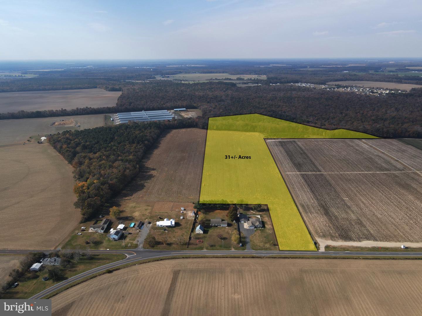 31 ACRES CLENDANIEL POND, LINCOLN, DE - Jack Lingo Realtor