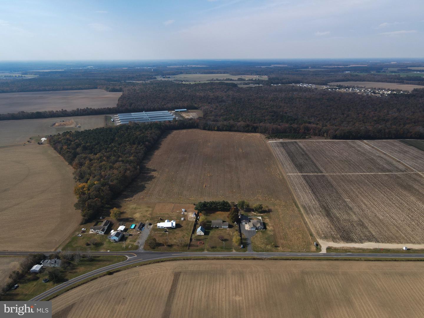 DESU2051060-802720756400-2024-10-08-12-41-38 31 Acres Clendaniel Pond | Lincoln, DE Real Estate For Sale | MLS# Desu2051060  - Jack Lingo REALTOR