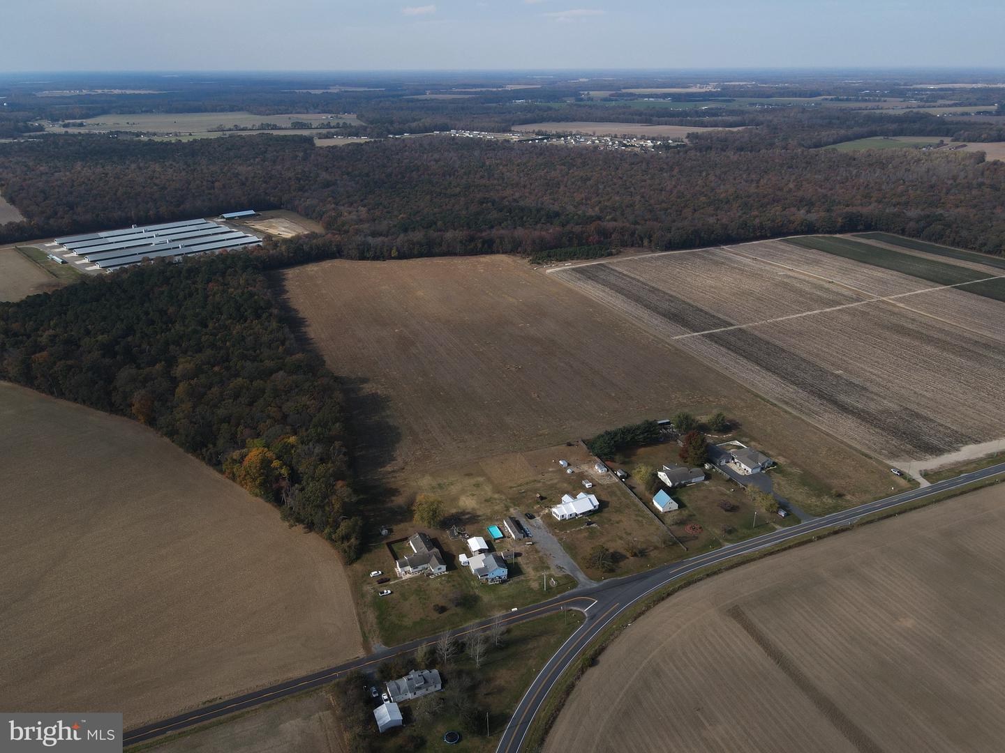 DESU2051060-802720756478-2024-10-08-12-41-38 31 Acres Clendaniel Pond | Lincoln, DE Real Estate For Sale | MLS# Desu2051060  - Jack Lingo REALTOR